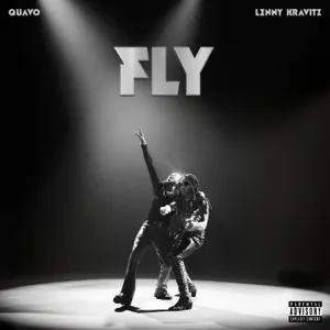 Fly